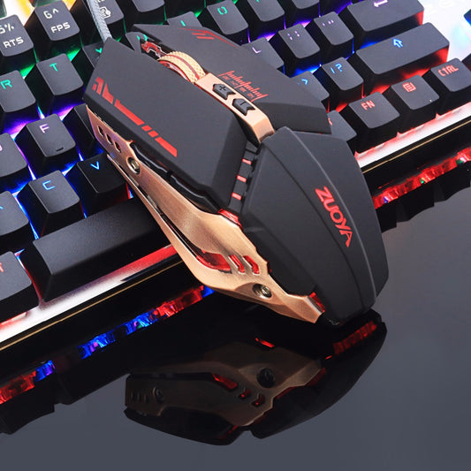 Professional gamer gaming mouse wireless mice usb mouse for laptop PC